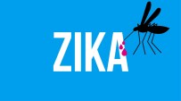 ANNE ADAYLARI - İspanya'da 'Zika' Paniği