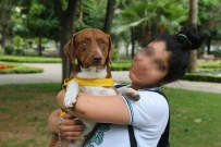 PSİKOLOJİK BASKI - Köpeğinin Öldürülme Korkusu Yüzünden Tedavi Görüyor