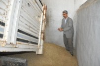 MEZOPOTAMYA - Mardin'de İlk Arpa Hasadı Yapıldı