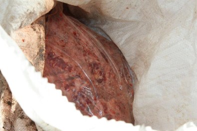 Edirne'de 875 kilo kaçak et ele geçirildi