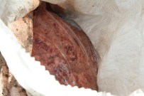 Edirne'de 875 kilo kaçak et ele geçirildi