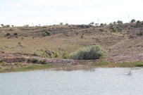 ZEKERIYA KARAYOL - İncesu Belediyesi Baraj Ve Çevresinde Mesire Alanı Yapım Çalışmalarına Devam Ediyor