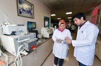 EKMEK ÜRETİMİ - Halk Ekmek Ürünlerine Günlük Analiz