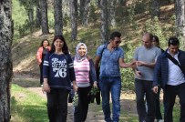 HAREKETSİZLİK - Buharkent Belediyesi Geleneksel Doğa Yürüyüşünü Gerçekleştirdi