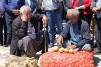 Patates Elde, Soğan Tarlada Kaldı