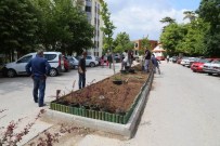 MEHMET SIYAM KESIMOĞLU - Yeşillendirme Çalışmaları Devam Ediyor