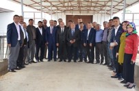 DOĞANCA - Bafra SYDV'den Manda Dağıtımı