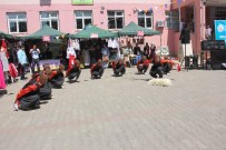 OKUMA YAZMA KURSU - Bingöl'de 4. Halk Eğitim Merkezleri Fuarı Açıldı