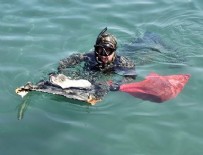 ÖZLEM TEKİN - Bodrum'da dalgıçlardan deniz temizliği