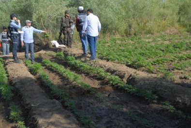 Diyarbakır'da uyuşturucu operasyonu