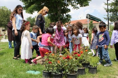 Emirdağ'da Bir Çiçek Bir Çocuk, Her Çocuk Bir Çiçek Projesi