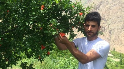 Katır Sırtında Ülke Ekonomisine Destek