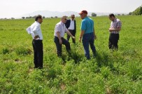 Manisa'daki Meralar Islah Ediliyor