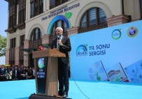 Ormek'in Sergi Gururu