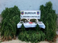 HINT KENEVIRI - Burdur'da Uyuşturucu Operasyonu