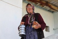 ALI CANDAN - Kocasinan Da Gelenek Devam Ediyor