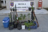 NARKOTİK KÖPEK - Saksıda Kenevir Yetiştirdi