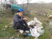 TEOG - TEOG Türkiye birincisi yine Çemişgezek'ten