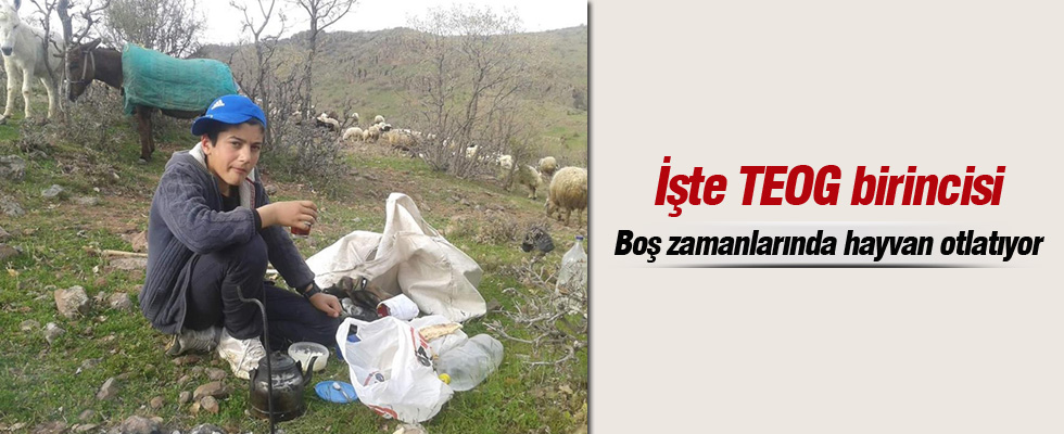 TEOG Türkiye birincisi yine Çemişgezek'ten