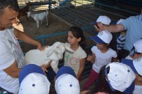 Aydın'da Lider Çocuk Tarım Kampı Sona Erdi