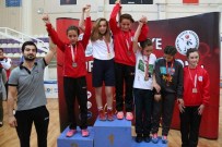 MEHMET DEMIR - Diyarbakırlı Güreşçiler Madalya İle Döndü