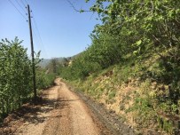 Düzce'de Köy Yolları Elden Geçiyor