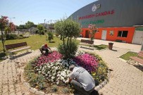 KÖY ENSTITÜLERI - Karşıyaka 300 Bin Çiçekle Süsleniyor