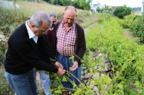 AKARCA - Mezitli Köylerini Dolu Vurdu