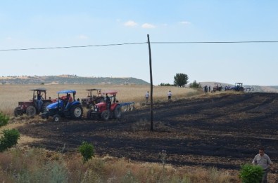 50 Dönüm Tarla Küle Döndü