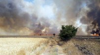 Aynı Bölgede İkinci Tarla Yangını