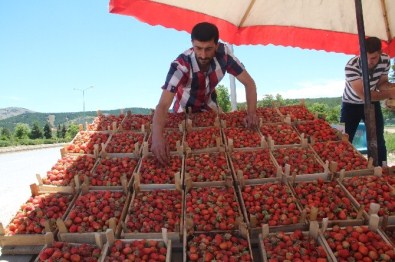 Elazığ'a Özgü Meşhur 'Gezin Çileği' Tezgahlara Çıkmaya Başladı