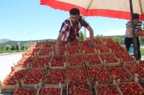 GEZIN - Elazığ'a Özgü Meşhur 'Gezin Çileği' Tezgahlara Çıkmaya Başladı