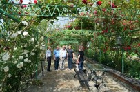 FILIBE - Konya'da Lavanta Ve Gül Üretimi Artırılacak