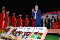 KİRAZ FESTİVALİ - Lapseki'de Kiraz Yarışması