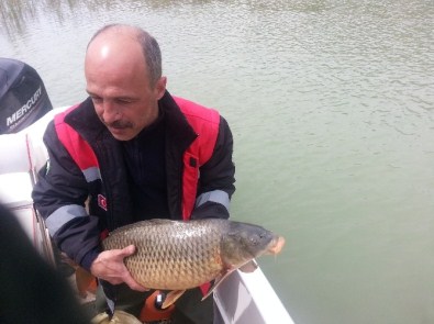 Balıkçılıkta Kaçak Avcılıkla Mücadele