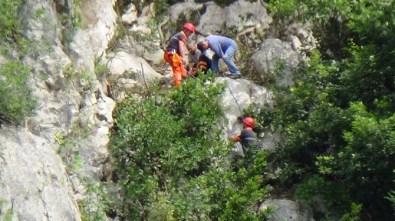 Düştüğü Uçurumda 14 Gün Mahsur Keçiyi AFAD Kurtardı