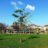 İSTİMLAK - İzmit Belediyesi'nden Kiralık İş Yeri Duyurusu