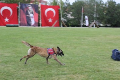 Jandarma Teşkilatı 177'Nci Yılını Kutluyor