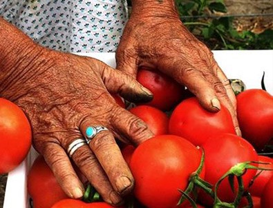 Tarım ÜFE Mayıs'ta arttı