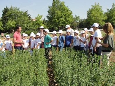 Tekirdağ'da Çocuk Tarım Kampı