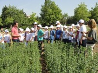 Tekirdağ'da Çocuk Tarım Kampı