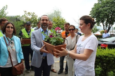 Ünye'de Balkonlar Çiçek Açacak