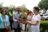 YALIN - Ünye'de Balkonlar Çiçek Açacak