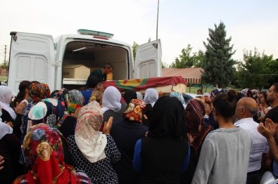 Vezneciler teröristinin tabutunu HDP'liler omuzladı