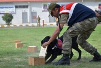 ERZİNCAN VALİSİ - Erzincan'da Jandarma Teşkilatının 177'Nci Yaşı Kutlandı