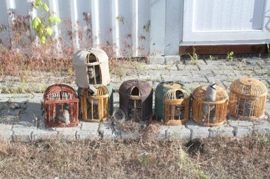 Keklik Avcısına Büyük Ceza