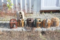 Keklik Avcısına Büyük Ceza