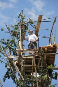 Rizeli'nin Ayı İle İmtihanı Gürgen Ağacının Tepesinde Bitti