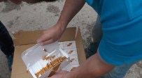 Uşak'ta 3,9 Milyon Paket Kaçak Sigara Ele Geçirildi