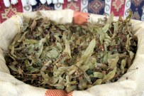 FAHRI YıLMAZ - Altınla Yarışan Ihlamur Fiyatında Düşüş Bekleniyor